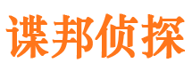 新洲市私家侦探